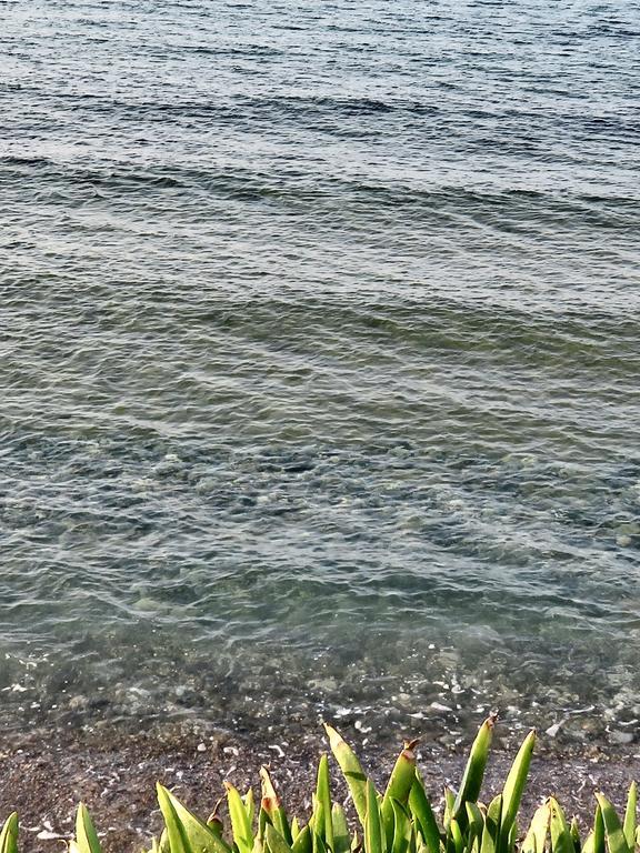 Frosso'S Sea Apartments Kokkini Hani Zewnętrze zdjęcie